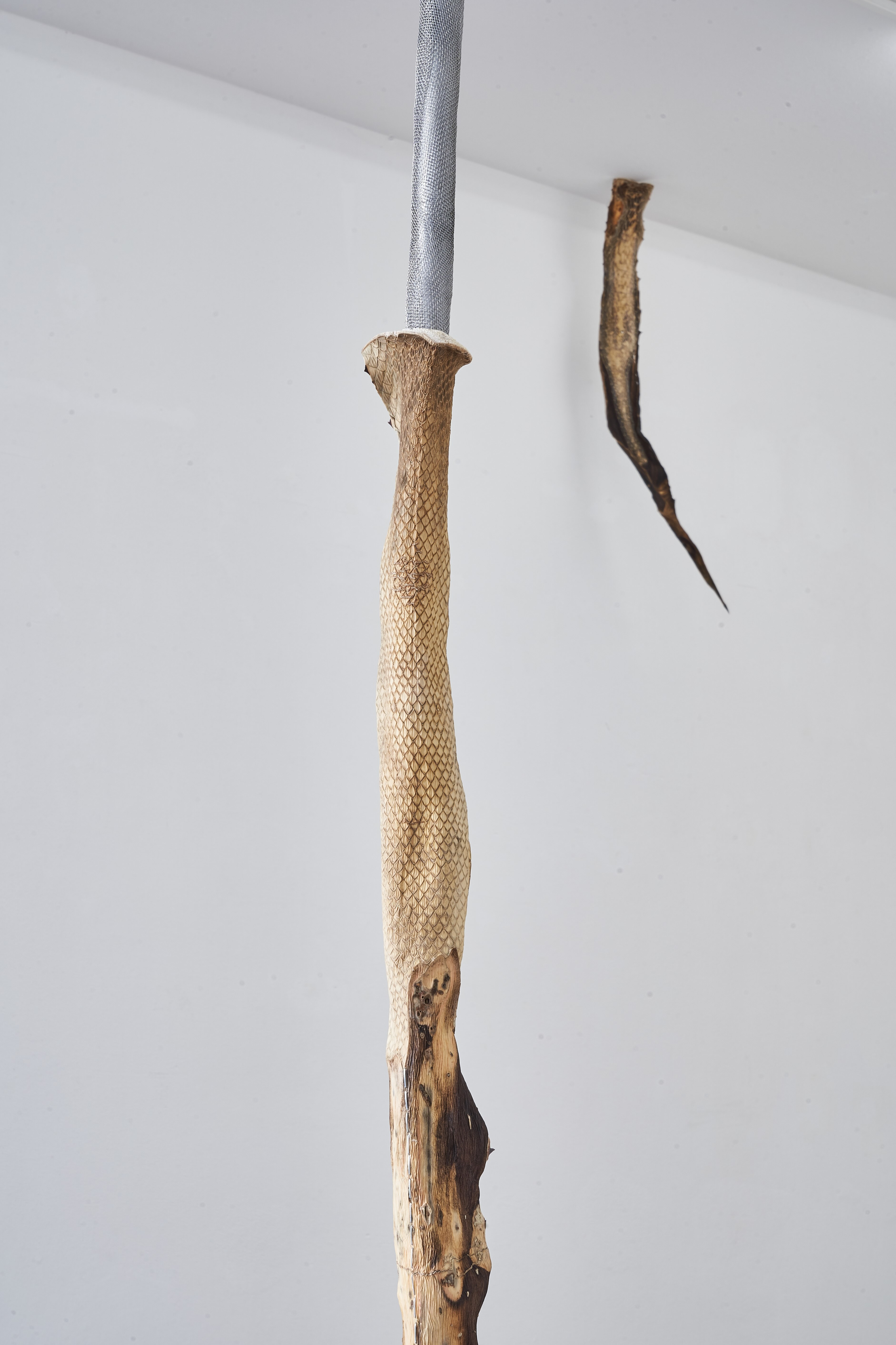 Maxine Weiss, agave [snake], 2023 [back] Maxine Weiss, agave [stitch], 2023 © Younsik Kim