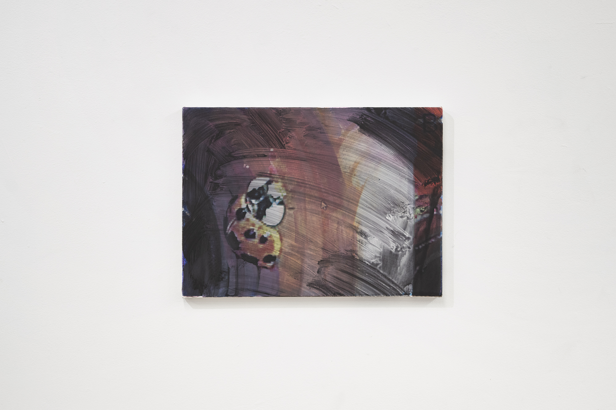 Parker Conrad, ‘Ladybug in the System’, oil and silkscreen on canvas, 10 x 15 inches (25.4 x 38.1 cm), 2026.