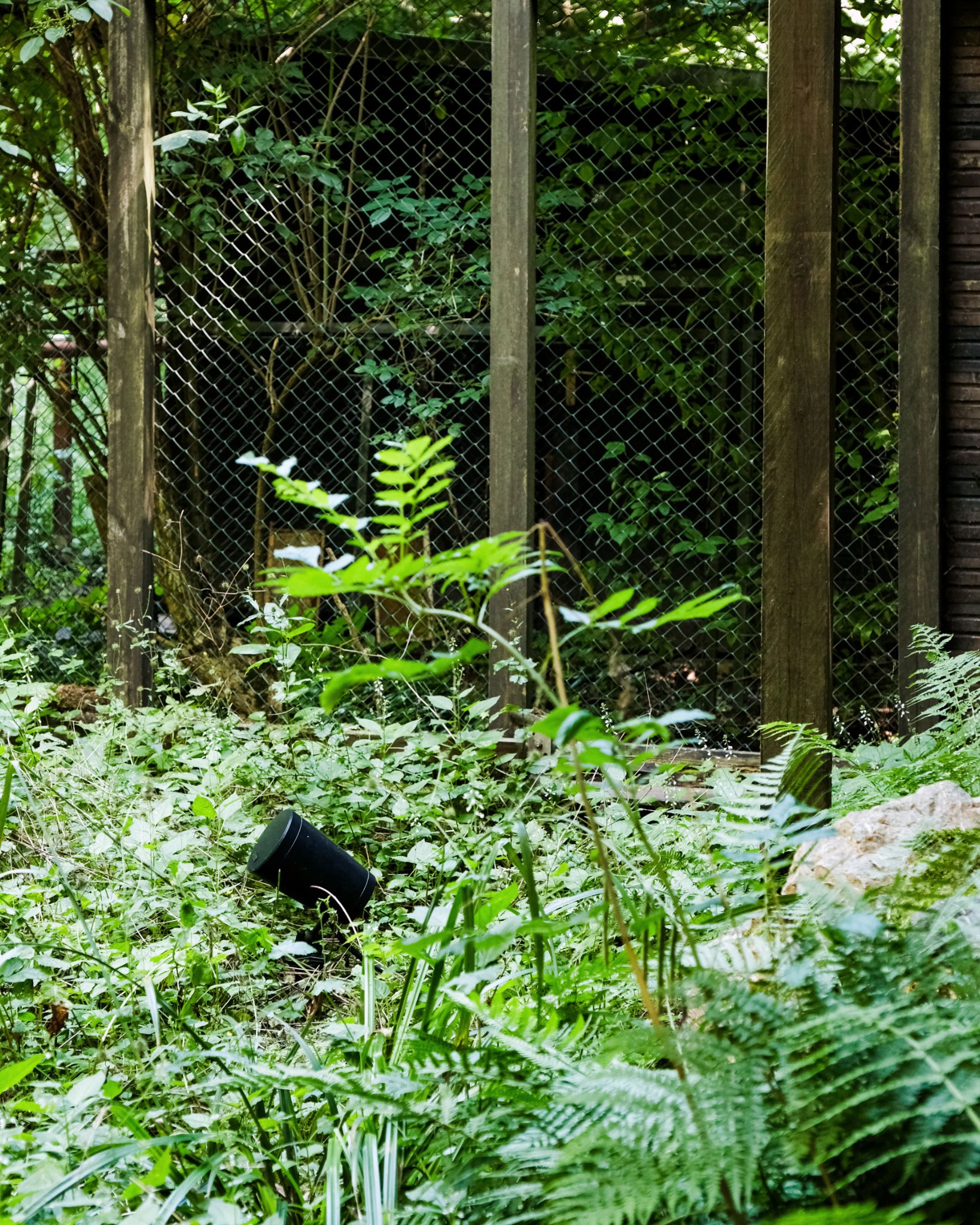 Anna Schütten, Choros, 2026, Sound recordings above and below water, multi-channel sound installation, aviary