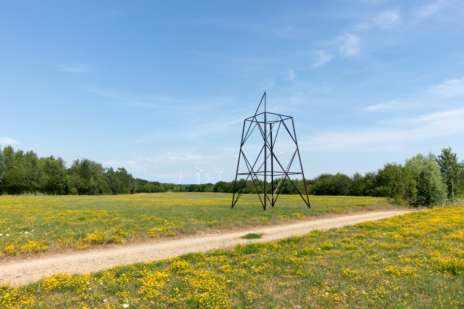 Ramòn Graefenstein, STAG…, 2026, Charred wooden slats, photo: Kriz Olbricht