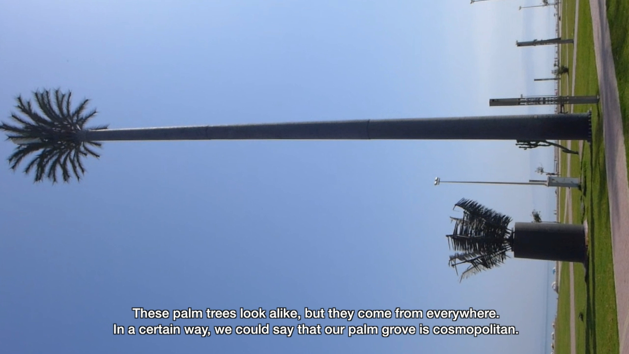 Ghita Skali, Palm Attacks, 2017, Videoloop with sound, 9:55 Min., Filmstill
