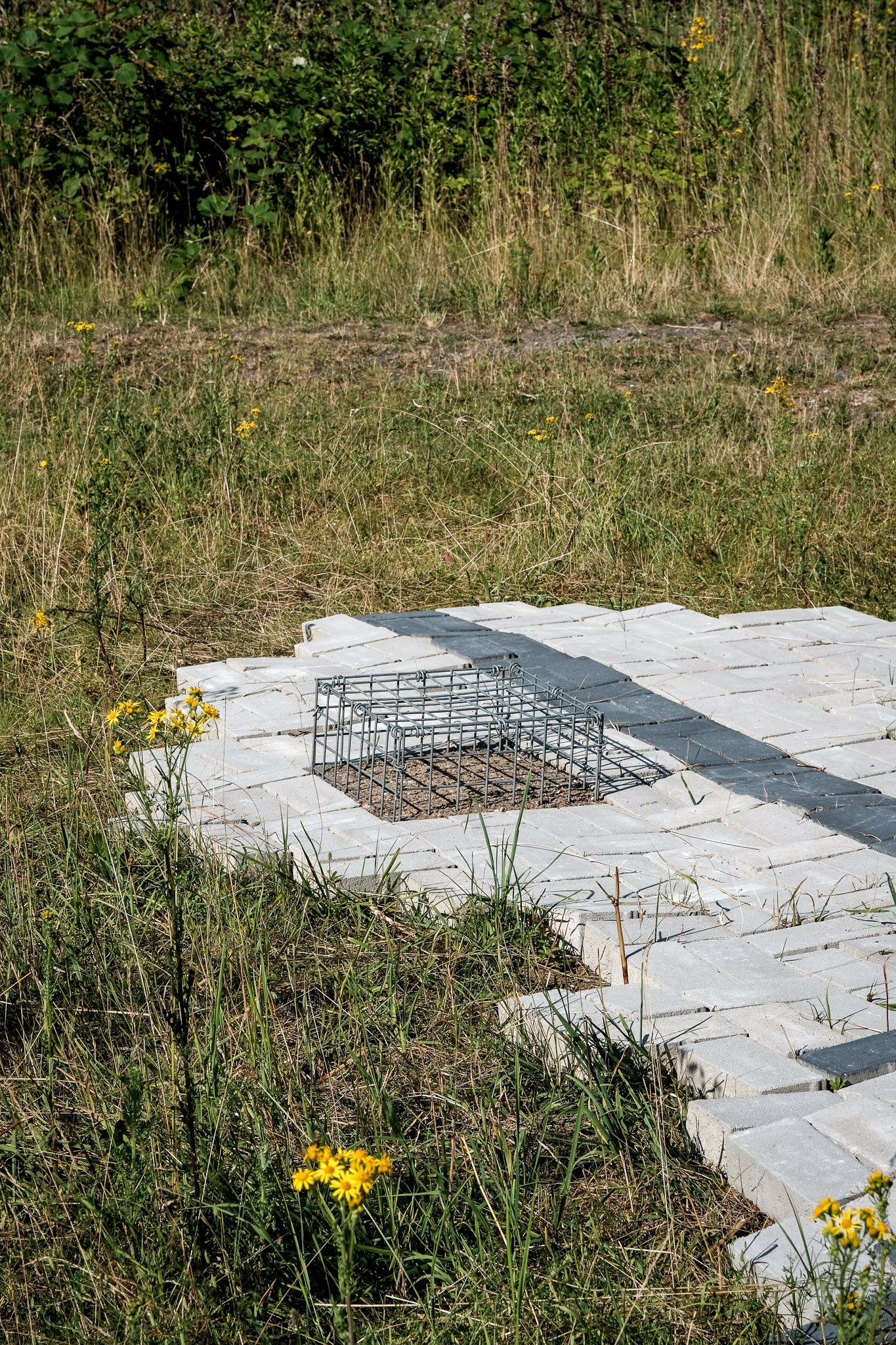 Sanna Reitz, Anthrom, 2026, Paving stones, metal grilles, surrounding vegetation