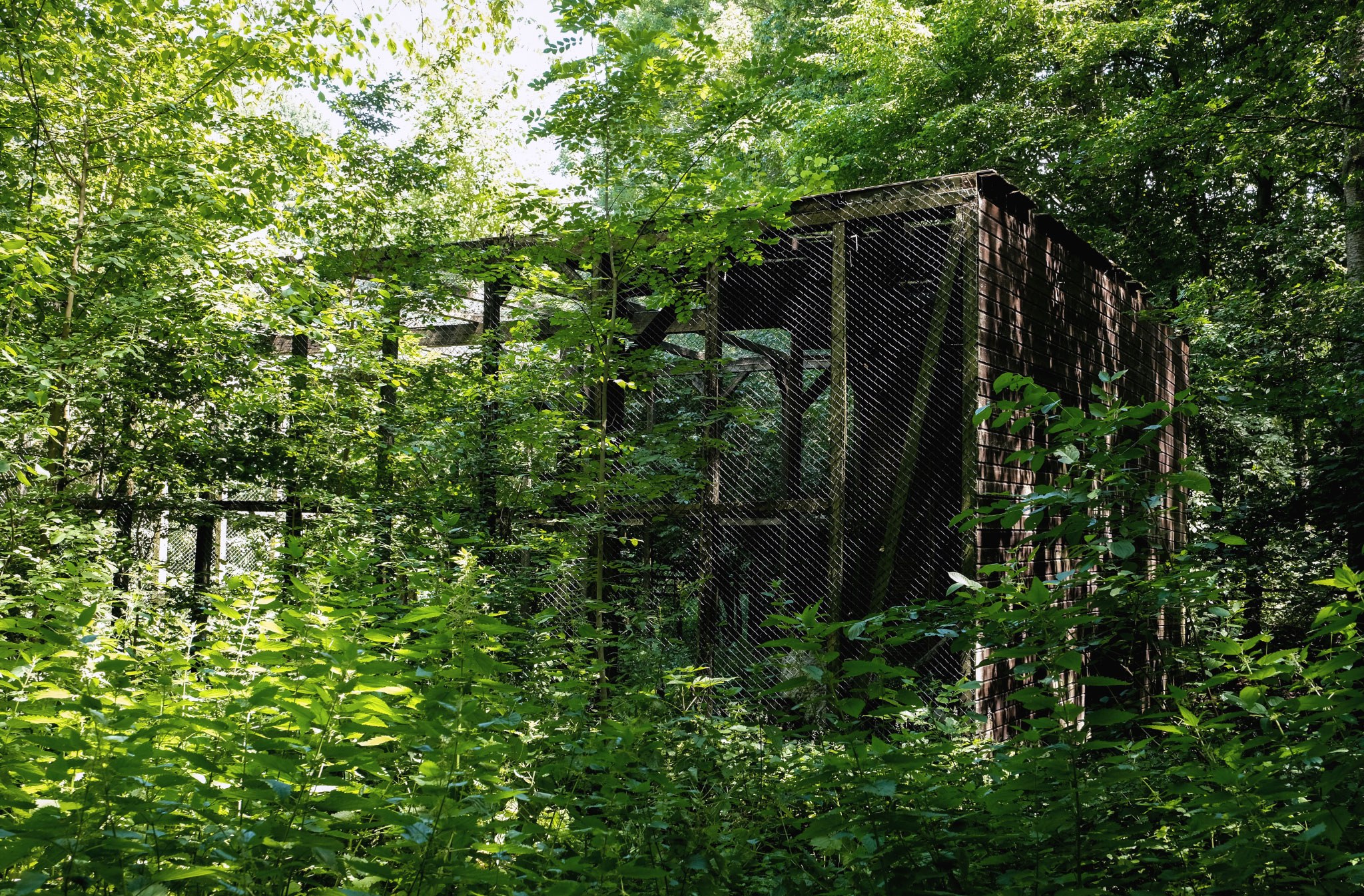 Anna Schütten, Choros, 2026, Sound recordings above and below water, multi-channel sound installation, aviary