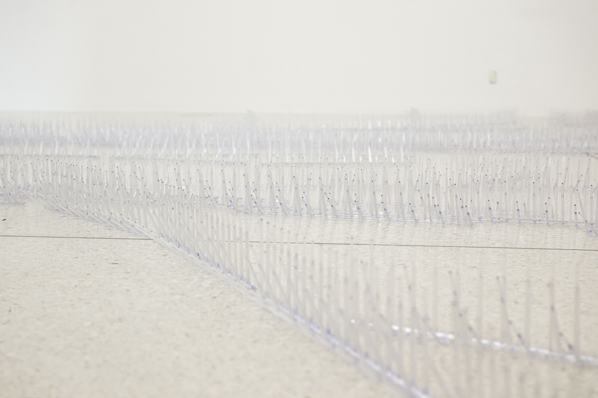 Steffani Jemison, Untitled (Abode), 2026, Photo: Thorsten Arendt