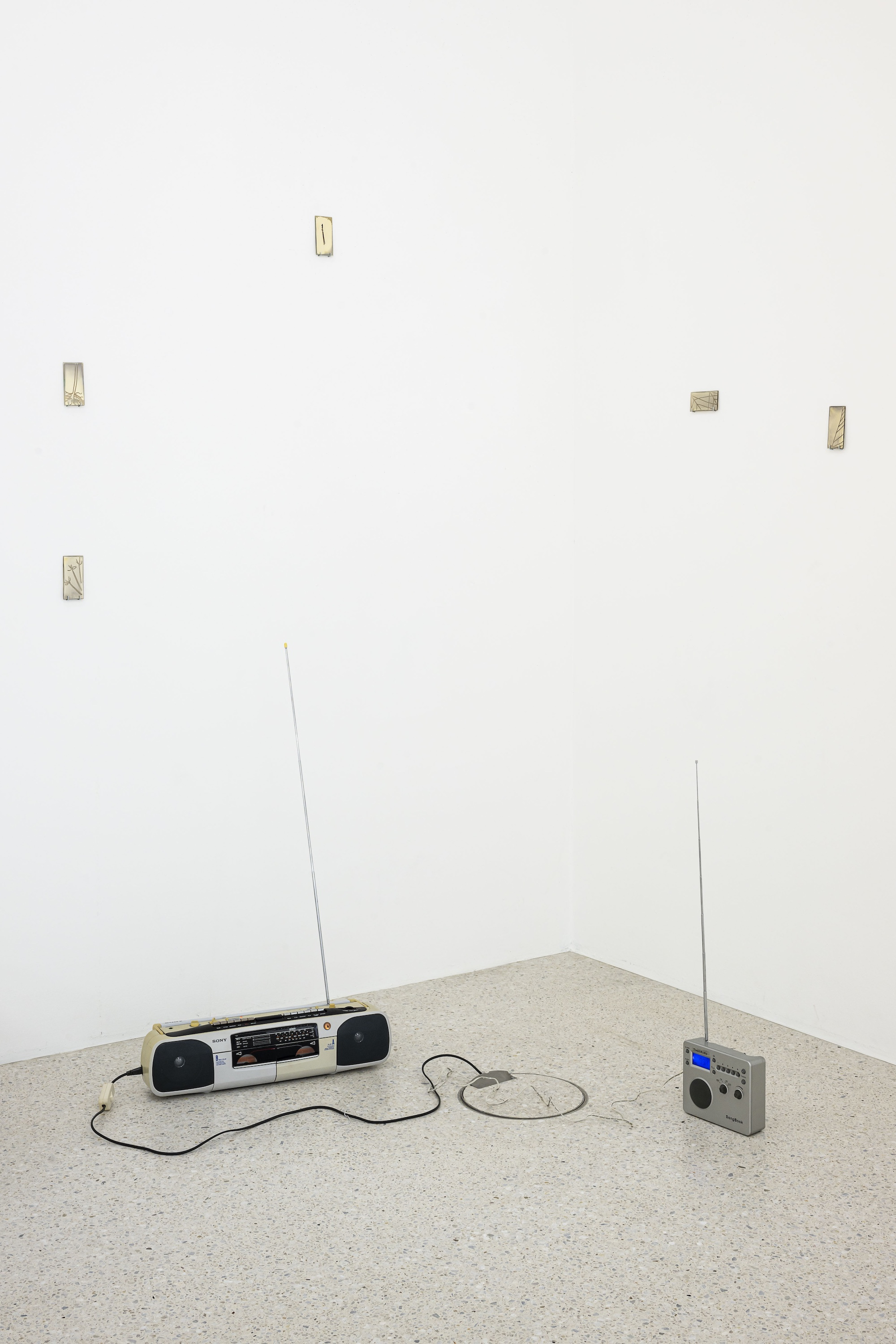 Steffani Jemison, Augur, 2026, Installation view, Westfälischer Kunstverein, Photo: Thorsten Arendt