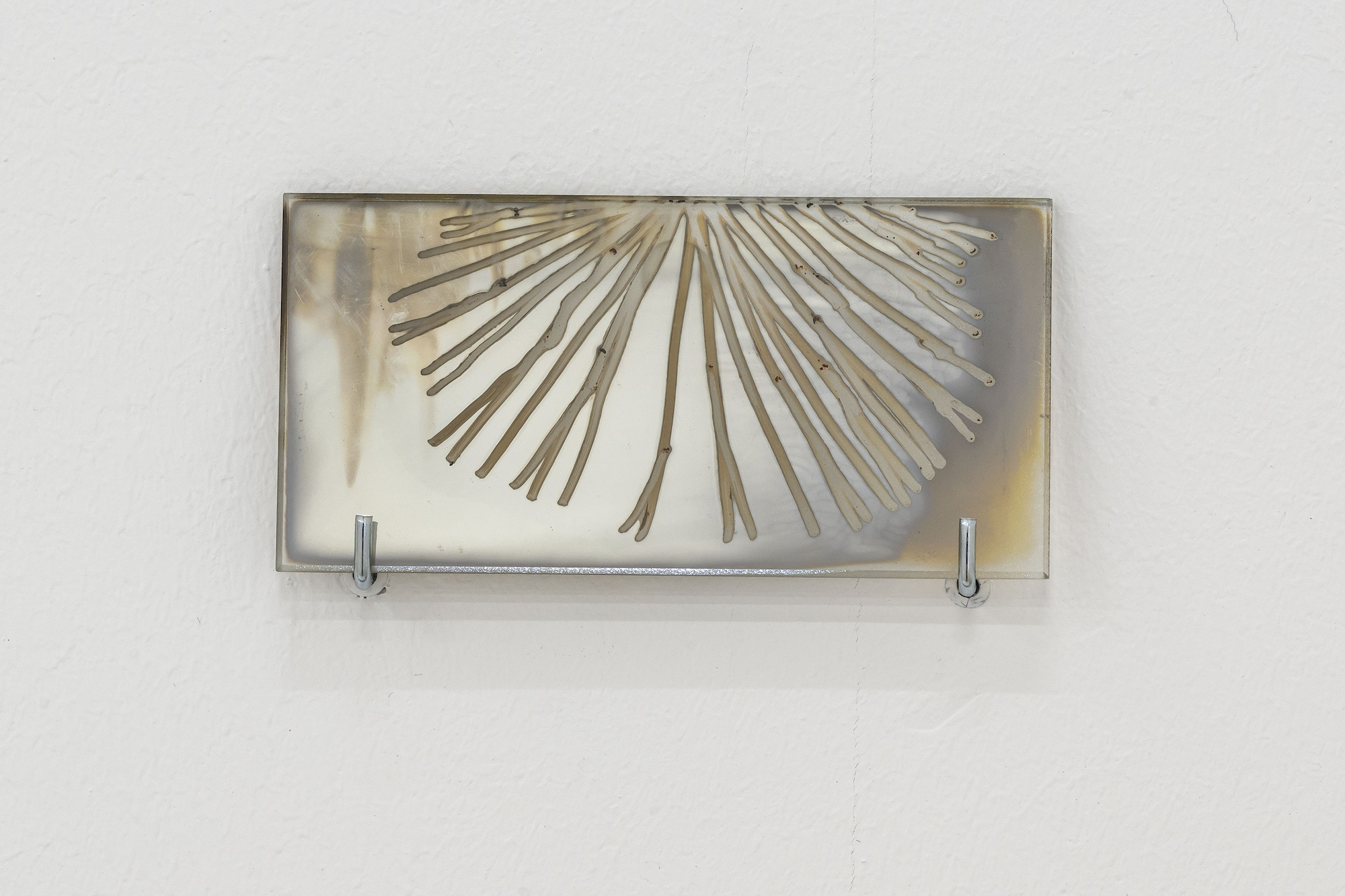 Steffani Jemison, Untitled (Way in the middle of the air), 2026, Photo: Thorsten Arendt