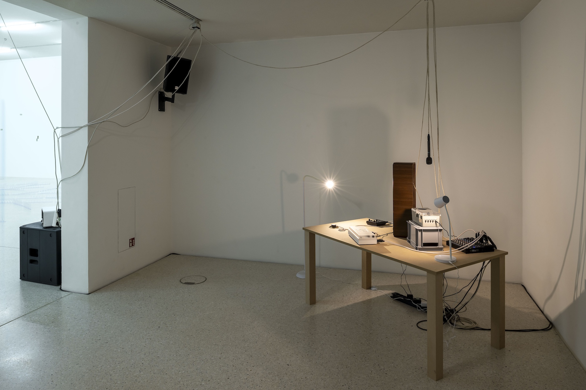 Steffani Jemison, Augur, 2026, Installation view, Westfälischer Kunstverein, Photo: Thorsten Arendt