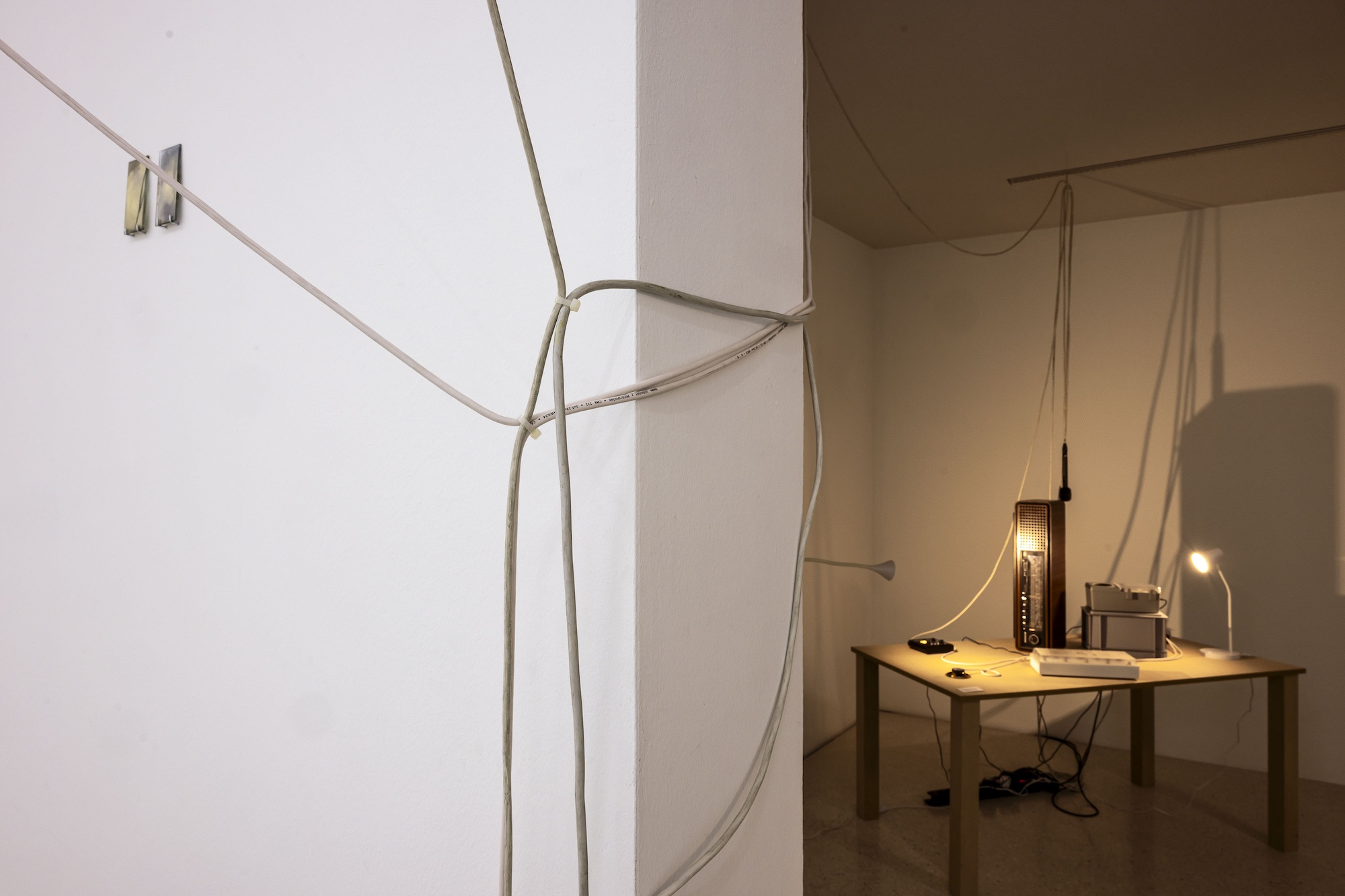 Steffani Jemison, Augur, 2026, Installation view, Westfälischer Kunstverein, Photo: Thorsten Arendt