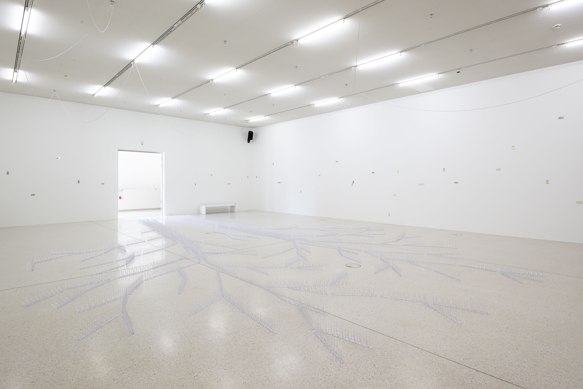 Steffani Jemison, Augur, 2026, Installation view, Westfälischer Kunstverein, Photo: Thorsten Arendt