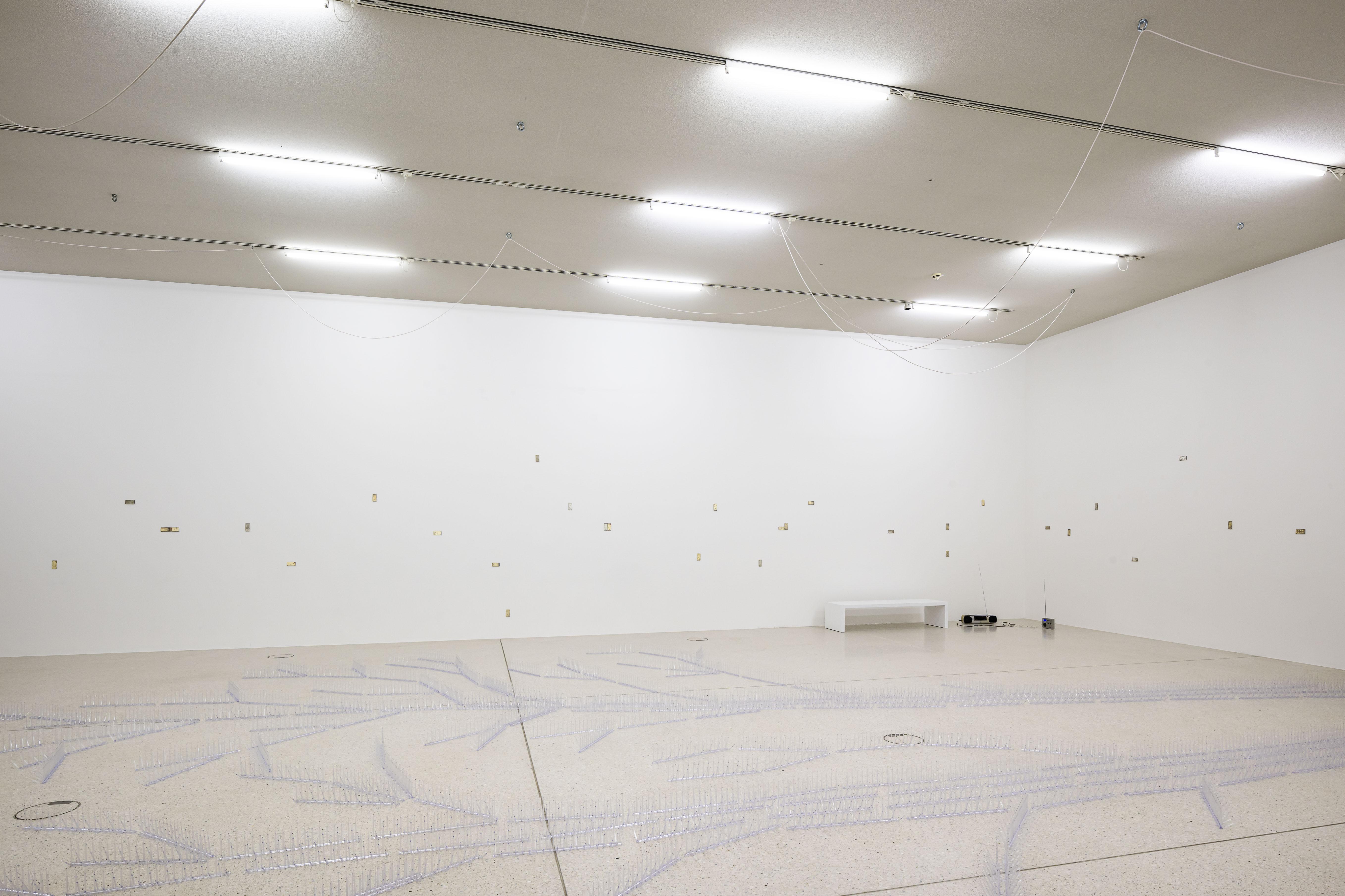 Steffani Jemison, Augur, 2026, Installation view, Westfälischer Kunstverein, Photo: Thorsten Arendt