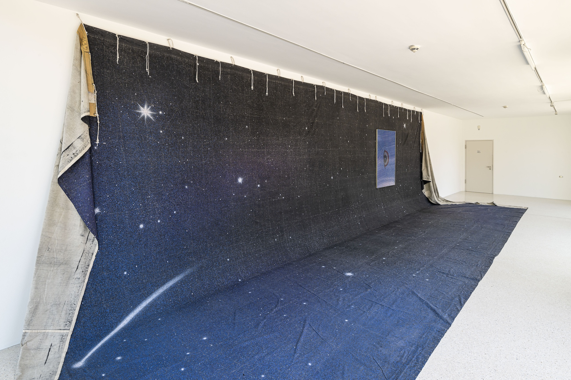 Steffani Jemison, Augur, 2026, Installation view, Westfälischer Kunstverein, Photo: Thorsten Arendt