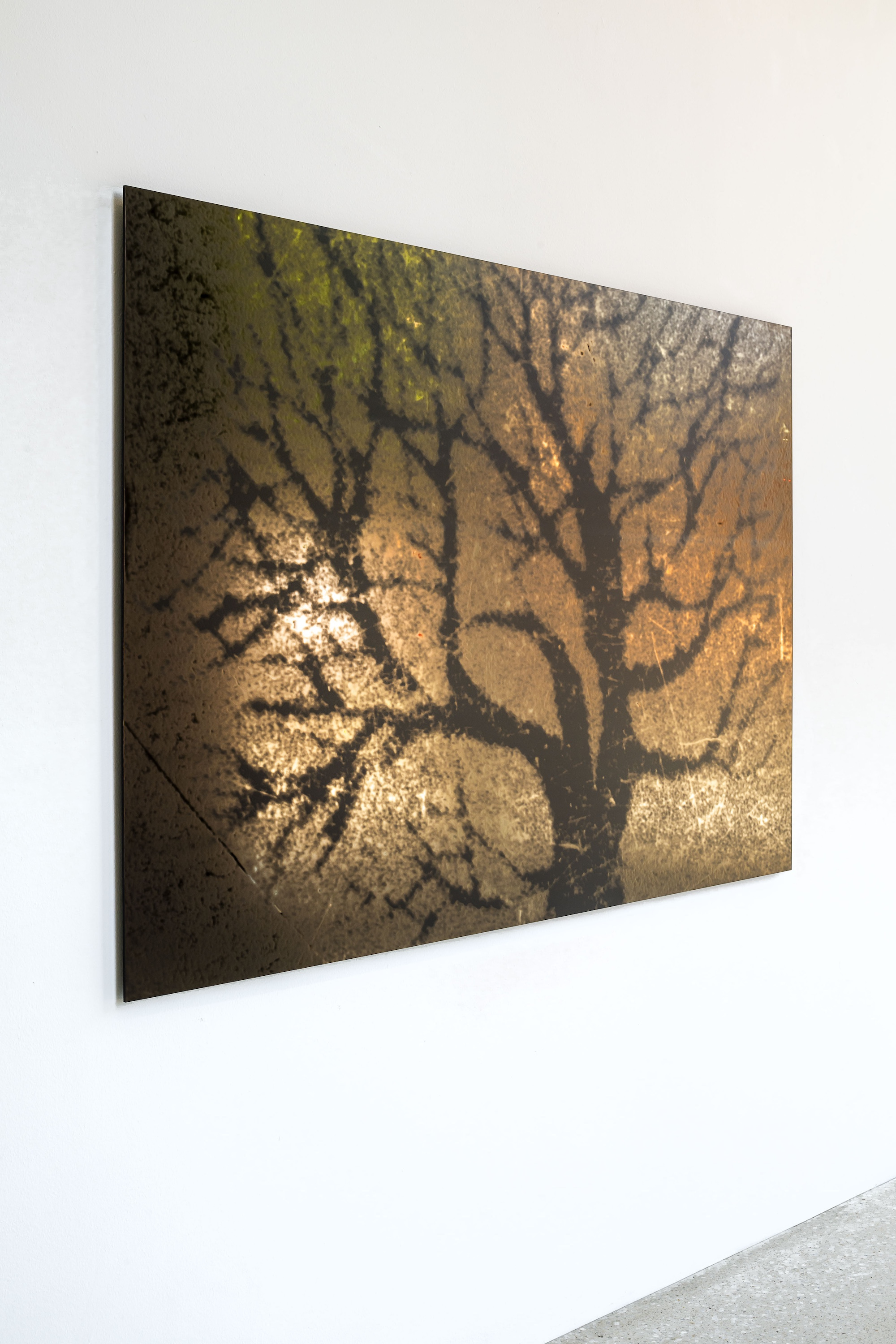 Steffani Jemison, Black Utopia (Roots), 2017/2022, Courtesy the artist and Consonni Radziszewski (Lisbon, Milan, Warsaw), Annet Gelink (Amsterdam) and Greene Naftali (New York), Photo: Thorsten Arendt