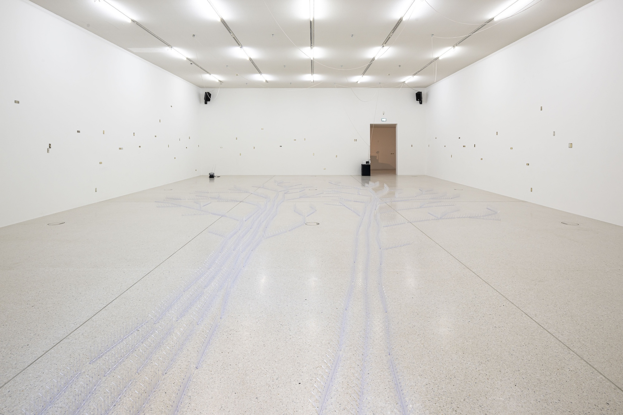 Steffani Jemison, Augur, 2026, Installation view, Westfälischer Kunstverein, Photo: Thorsten Arendt