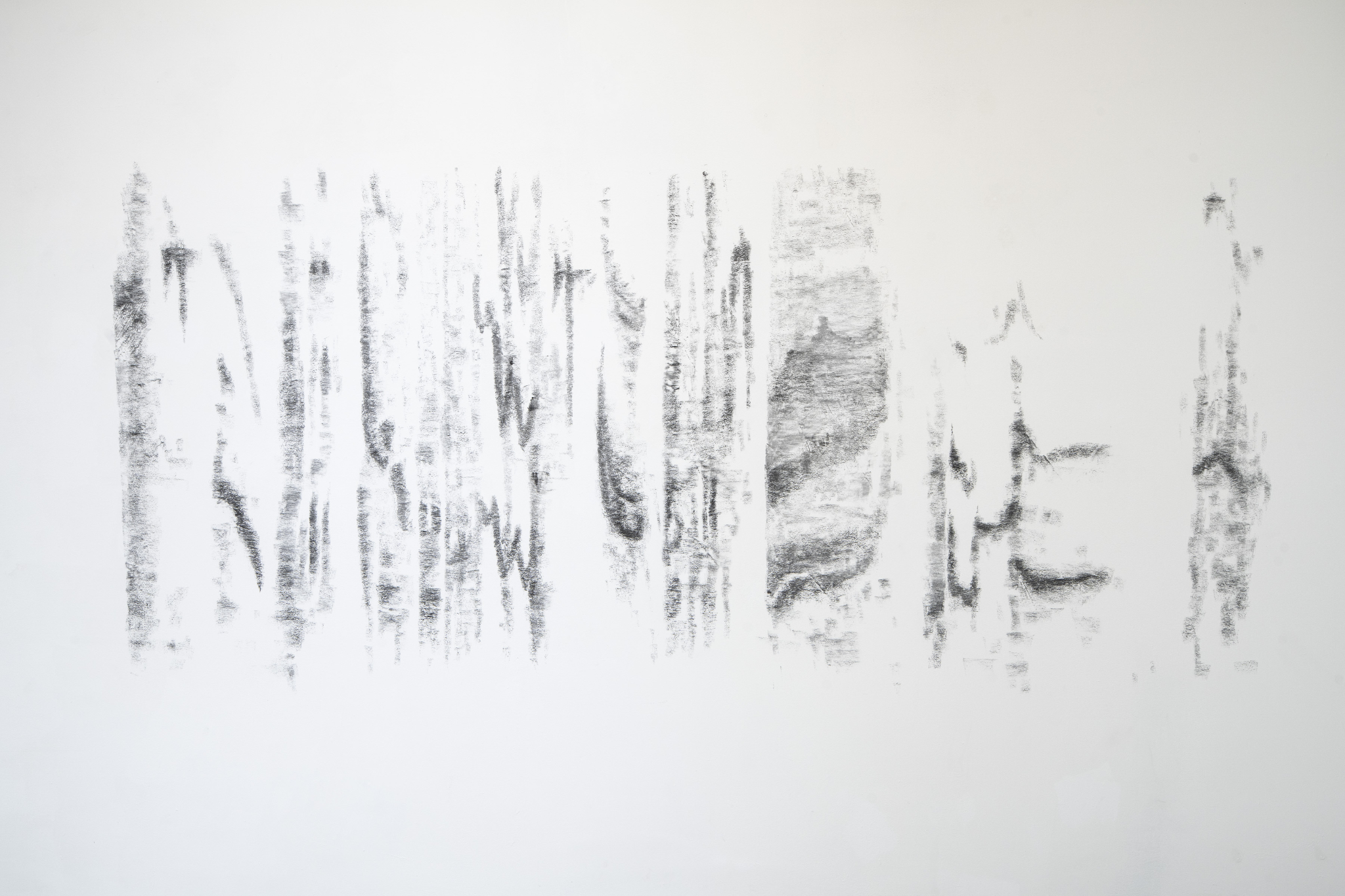 Sibylle Eimermacher, sonogram of the Northern Wheatear, charcoal on wall