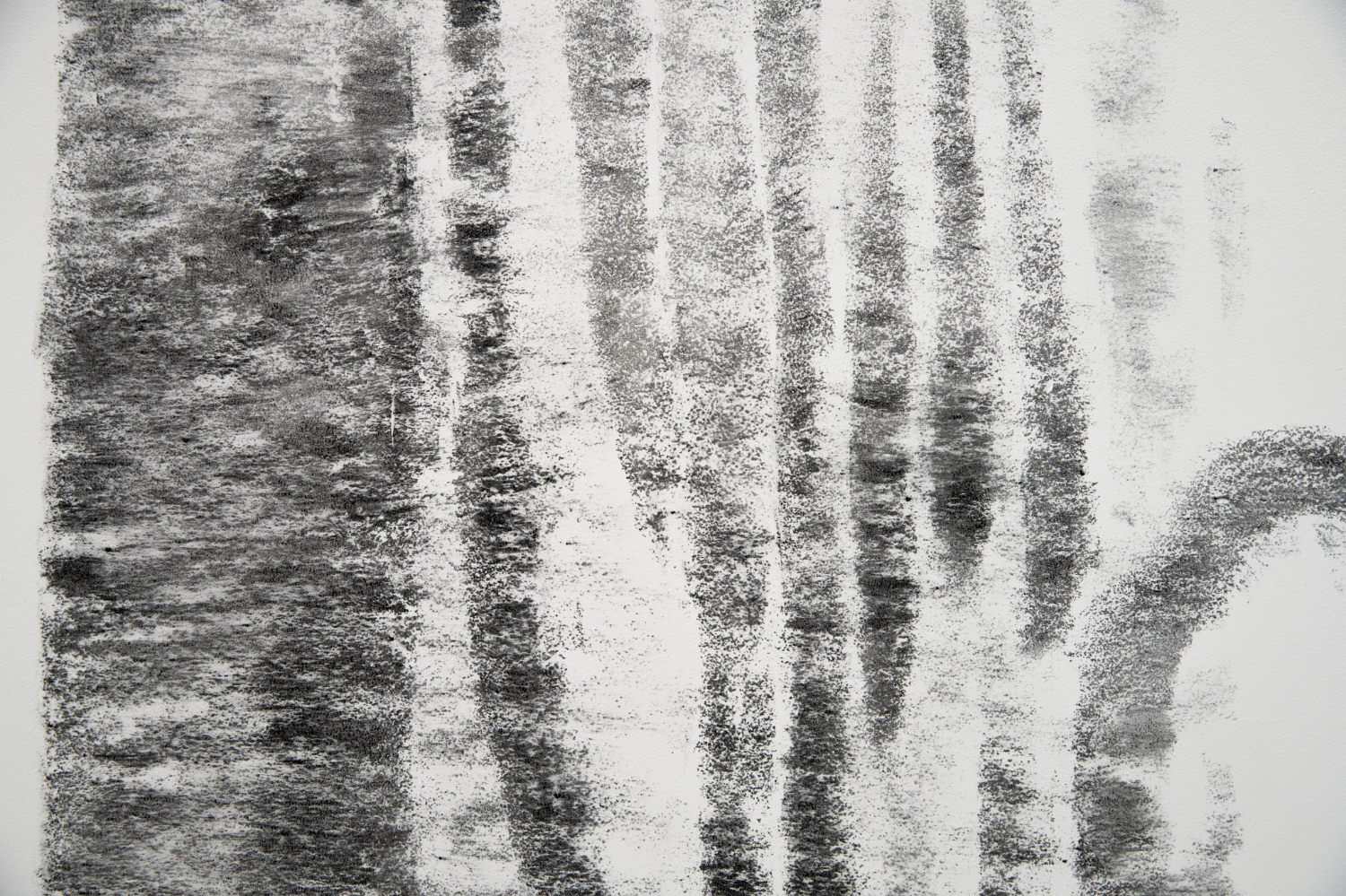Sibylle Eimermacher, sonogram of the Northern Wheatear (detail), charcoal on wall 