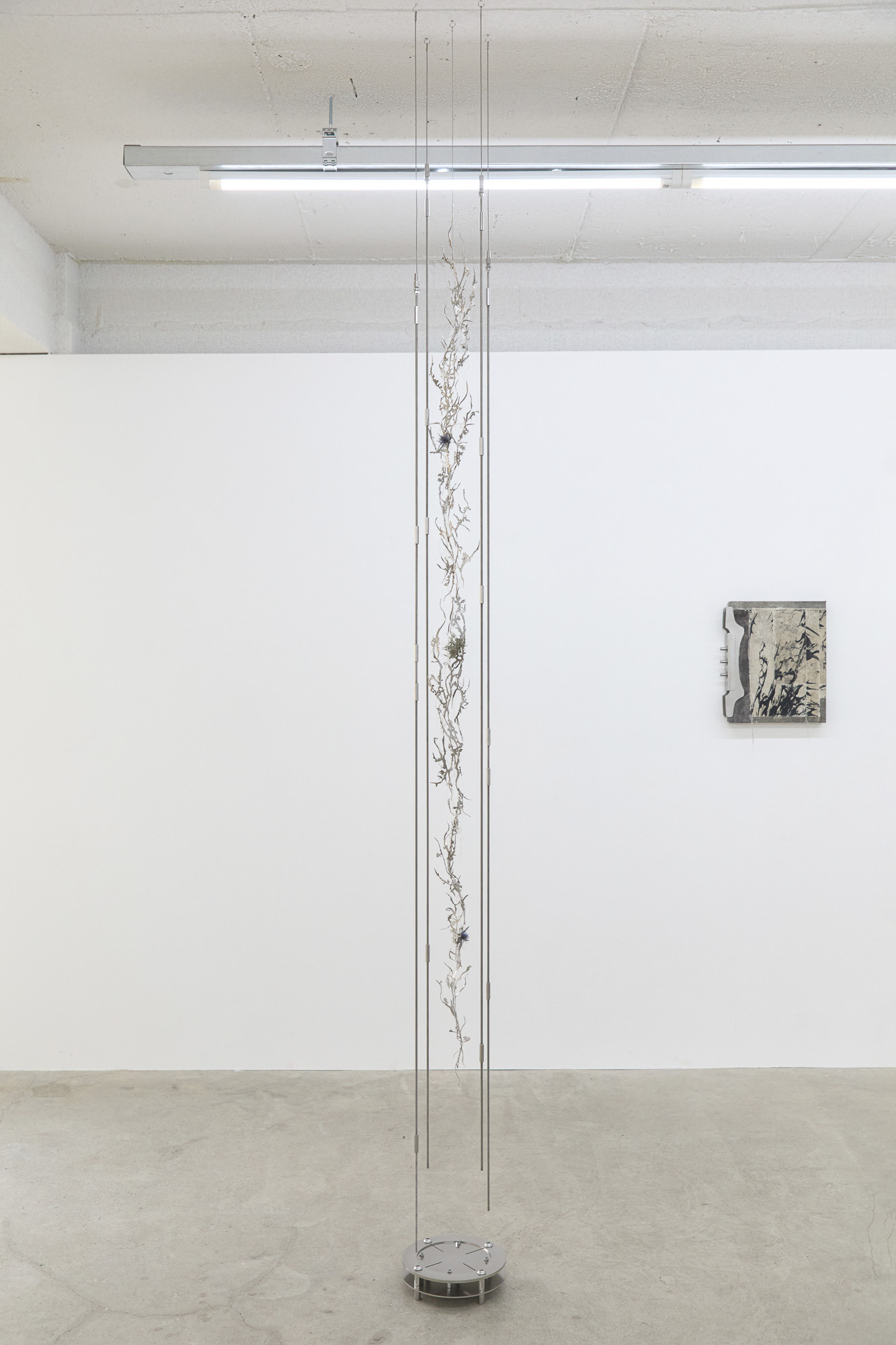 Inside Job (Ula Lucińska, Michał Knychaus), Axial Veil, exhibition view, CAPTION, Seoul, 2026,  photo: Bokyoung Han