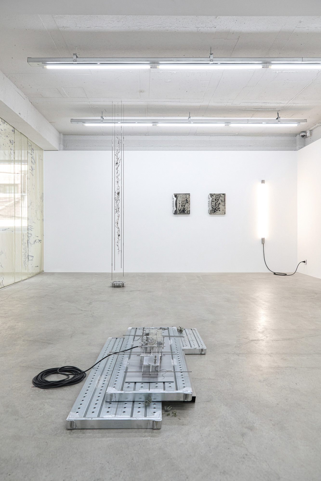 Inside Job (Ula Lucińska, Michał Knychaus), Axial Veil, exhibition view, CAPTION, Seoul, 2026,  photo: Bokyoung Han