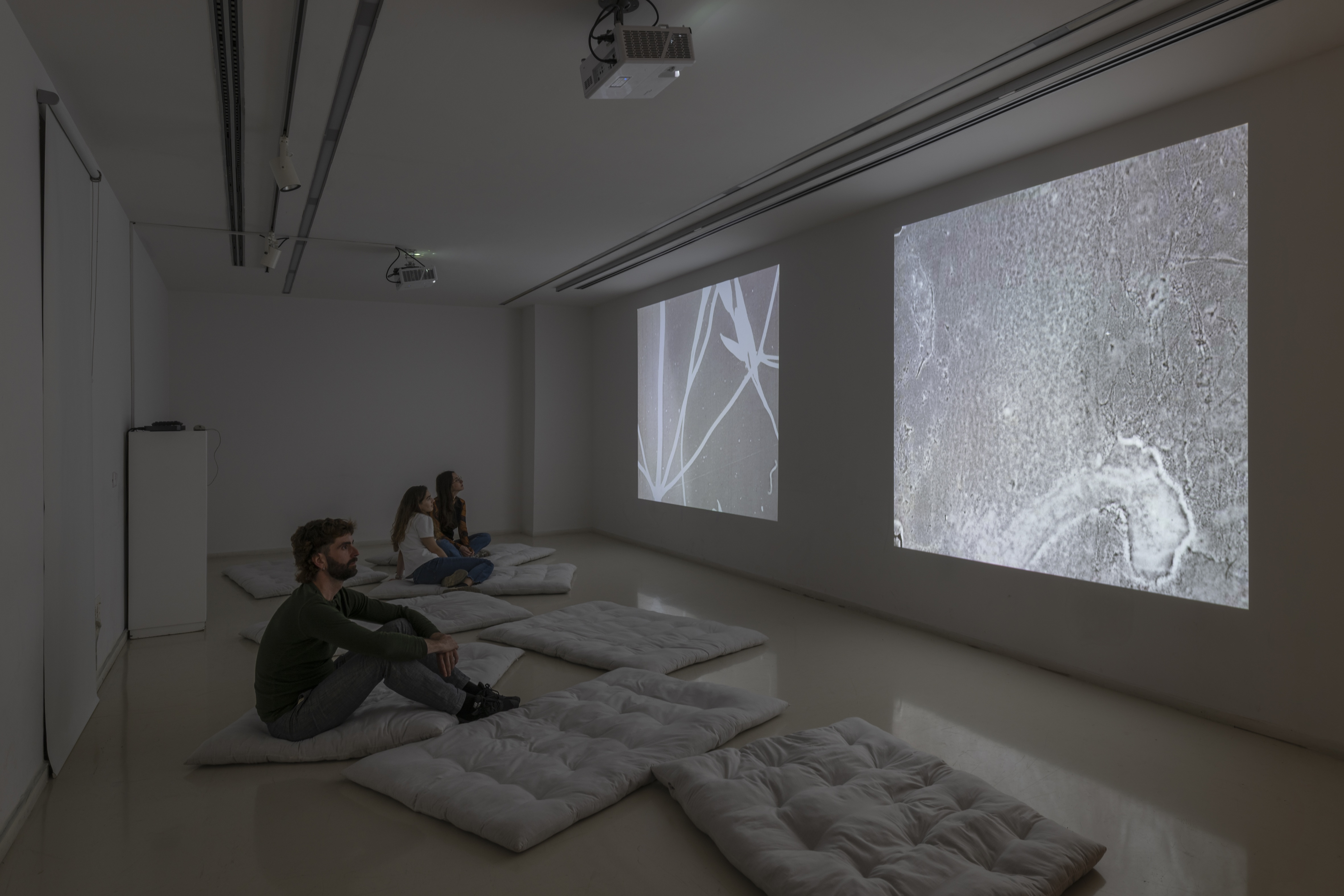 Annette Frick, Cosmic Elements (or Secret Secretions), 2002-2003, 07:04 min, courtesy of the artist, ChertLüdde, and VG Bildkunst, Berlin.