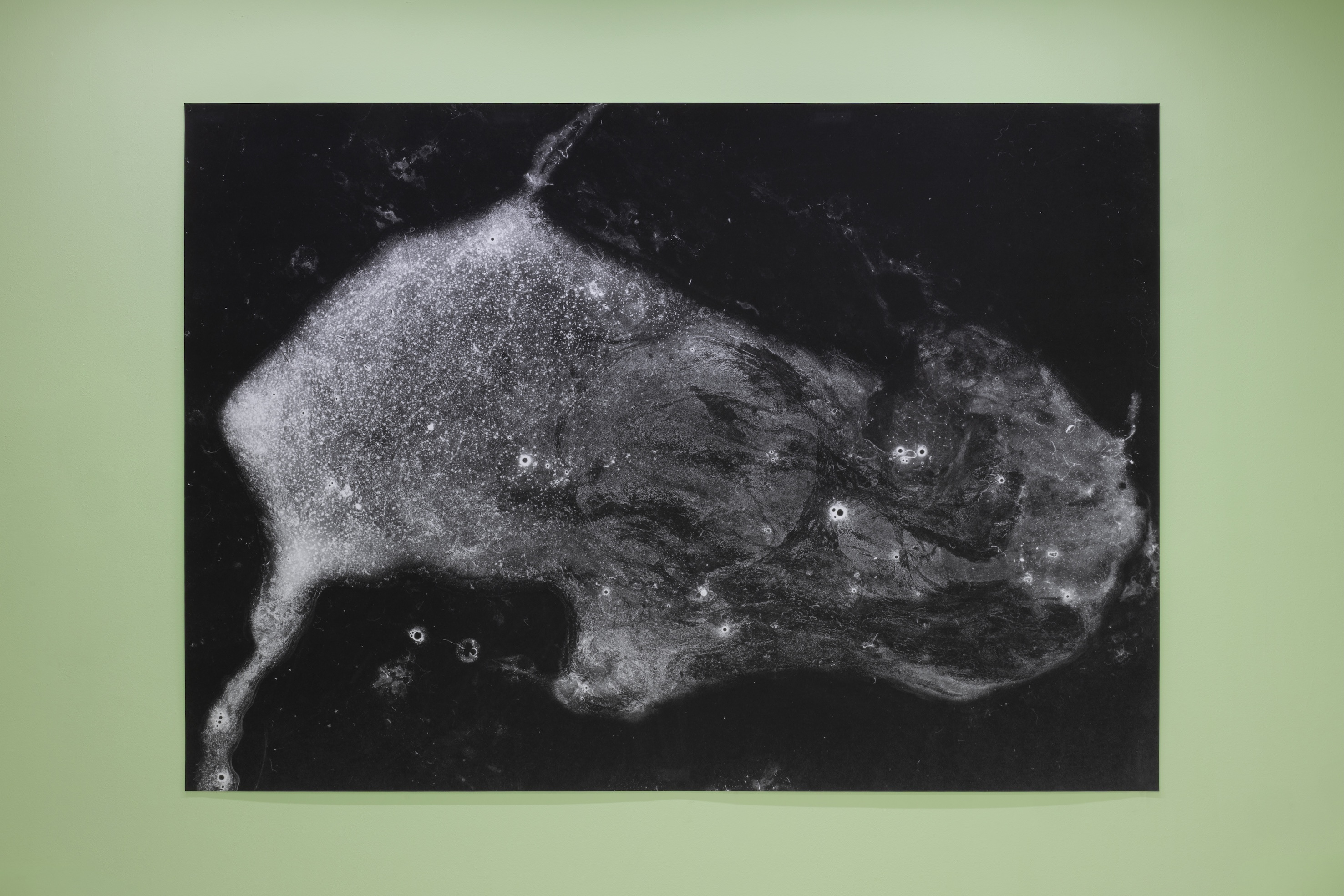 Annette Frick, Secret Secretion (III), 2002-2025, courtesy of the artist, ChertLüdde, and VG Bildkunst, Berlin.