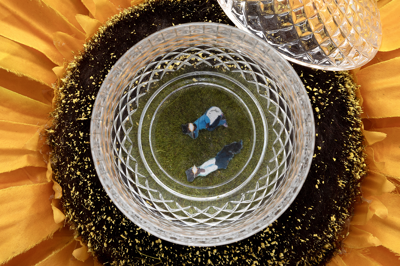 Ladji Diaby, Yes I am!, 2025 (detail), laser print, artificial sunflower, pedestal table, crystal vase, demineralised water, 57 × 36 × 36 cm.