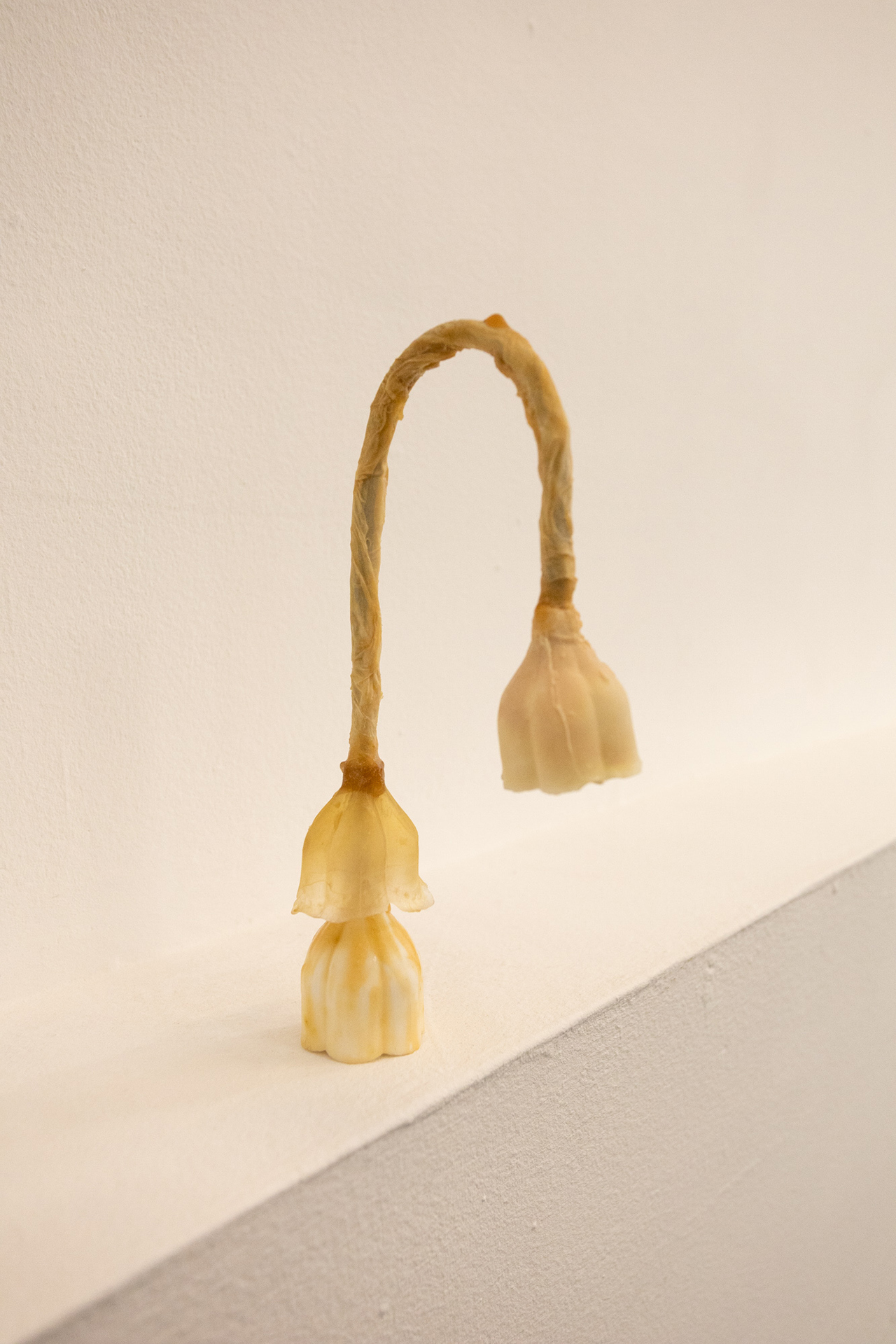 a pesar de todo, 2026. Maya Pita-Romero