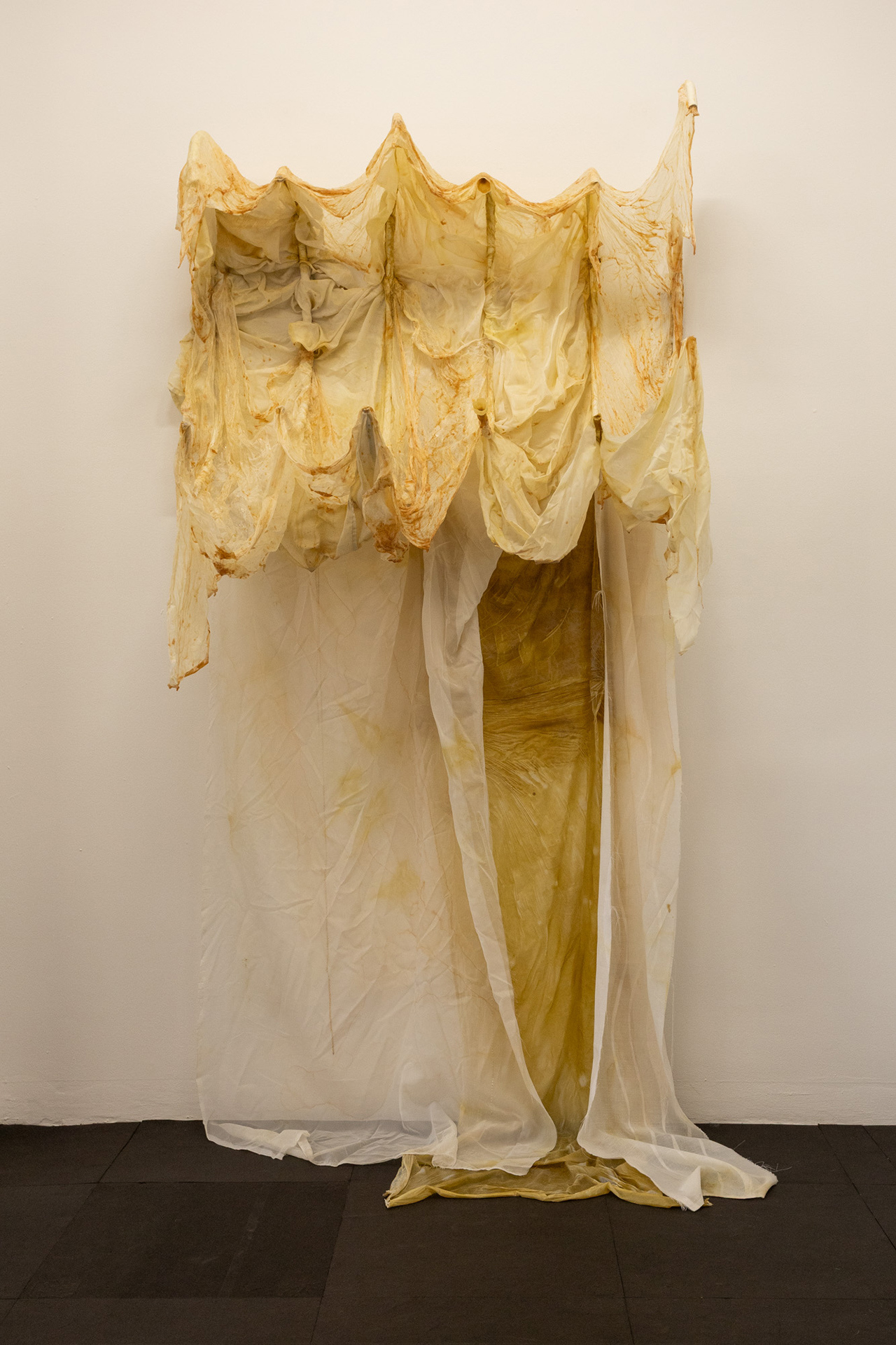 las uñas siempre mal cortadas, 2026. Maya Pita-Romero
