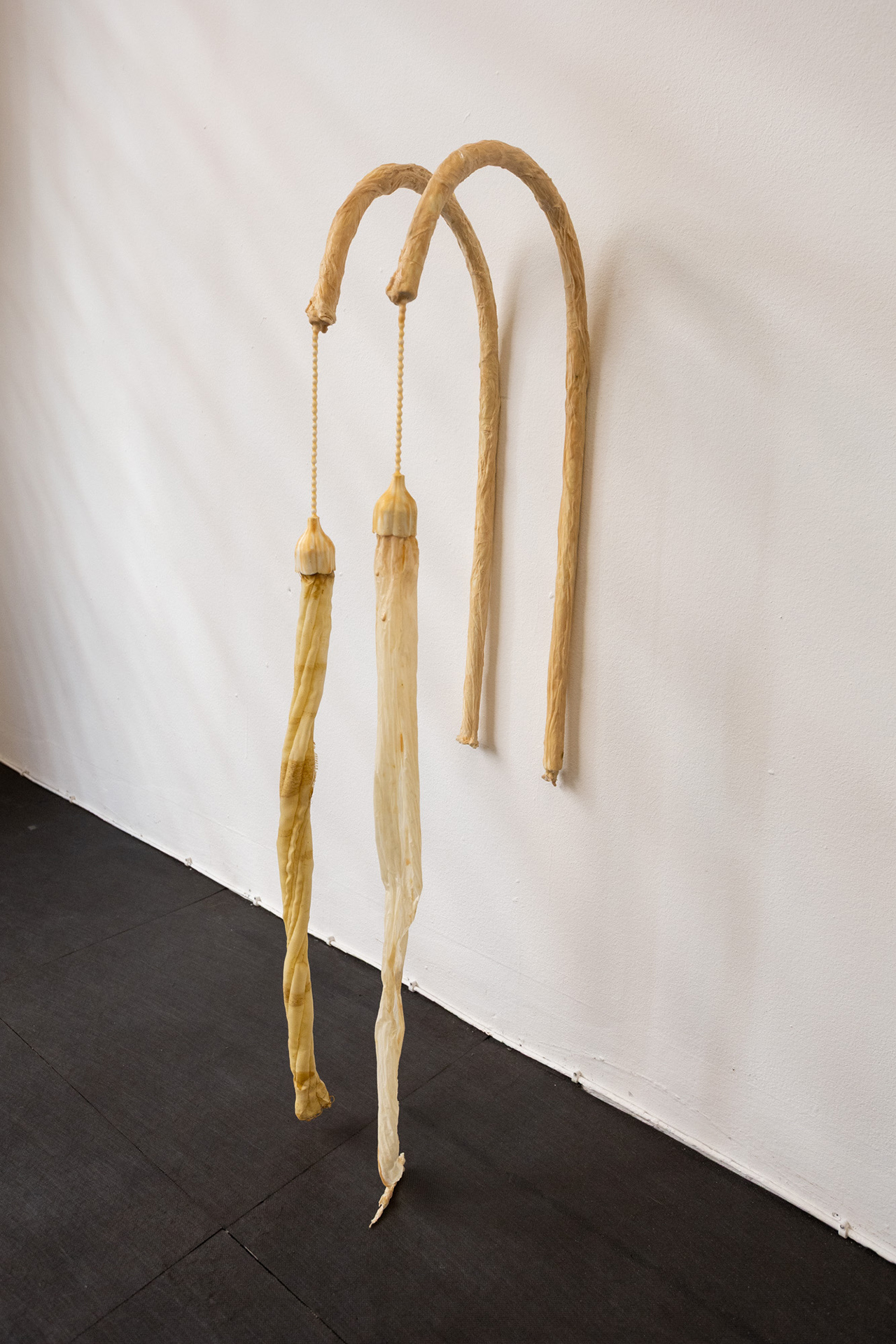 saber caer a pesar de todo, 2026. Maya Pita-Romero