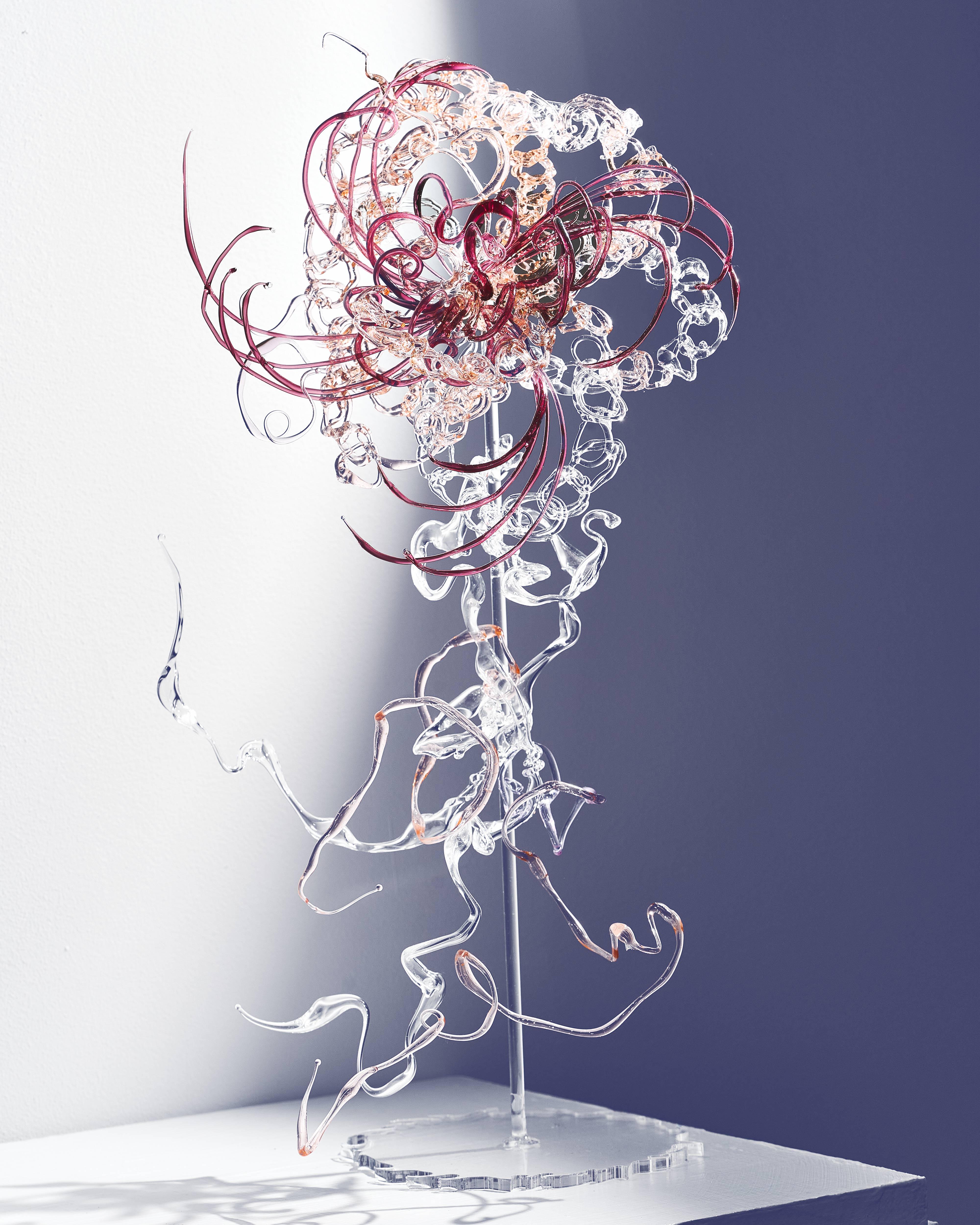 Sometimes poison is a cure, too, ver. 11, 2026, Glass, plexiglass
