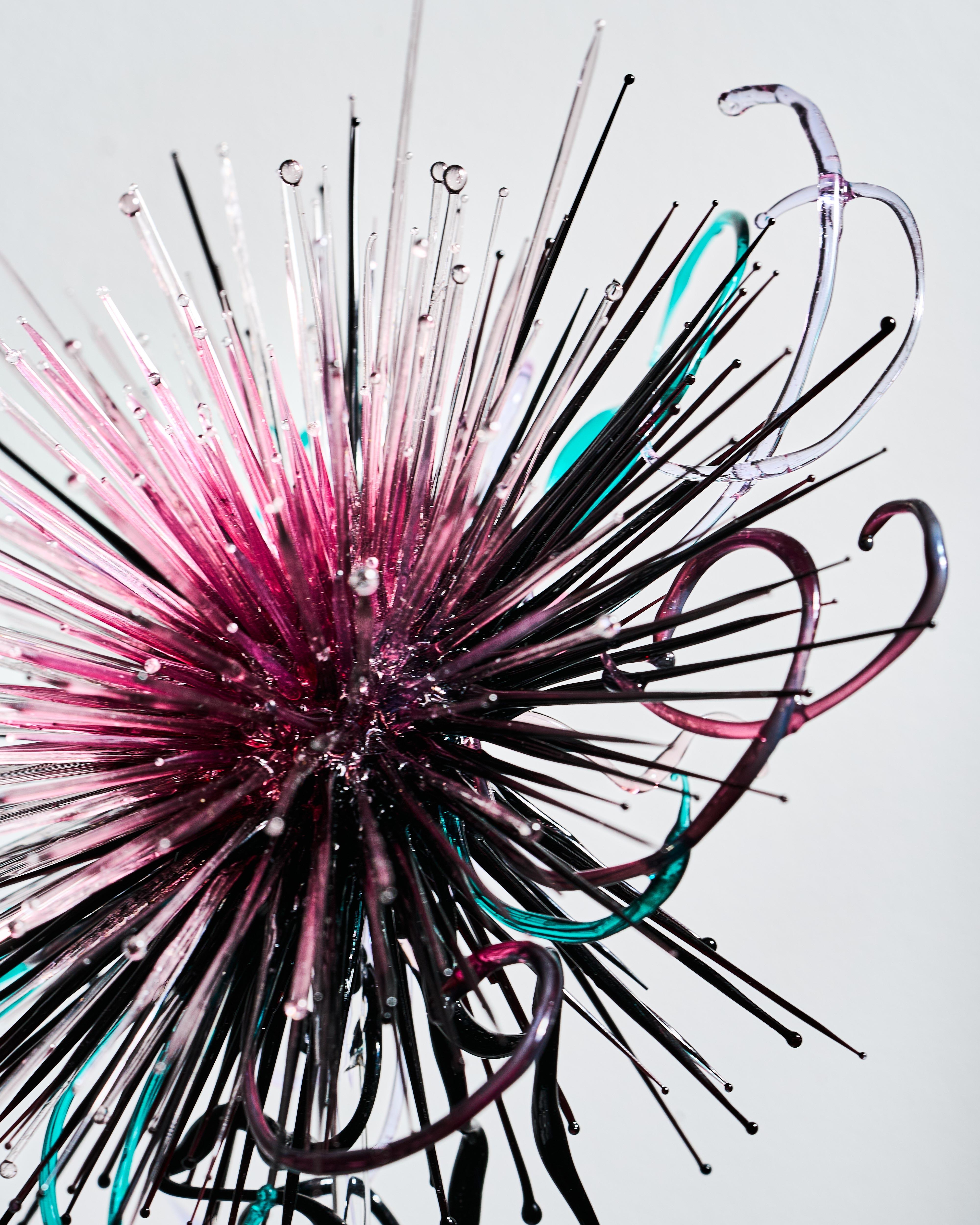 Sometimes poison is a cure, too, ver. 12, 2026, Glass, plexiglass