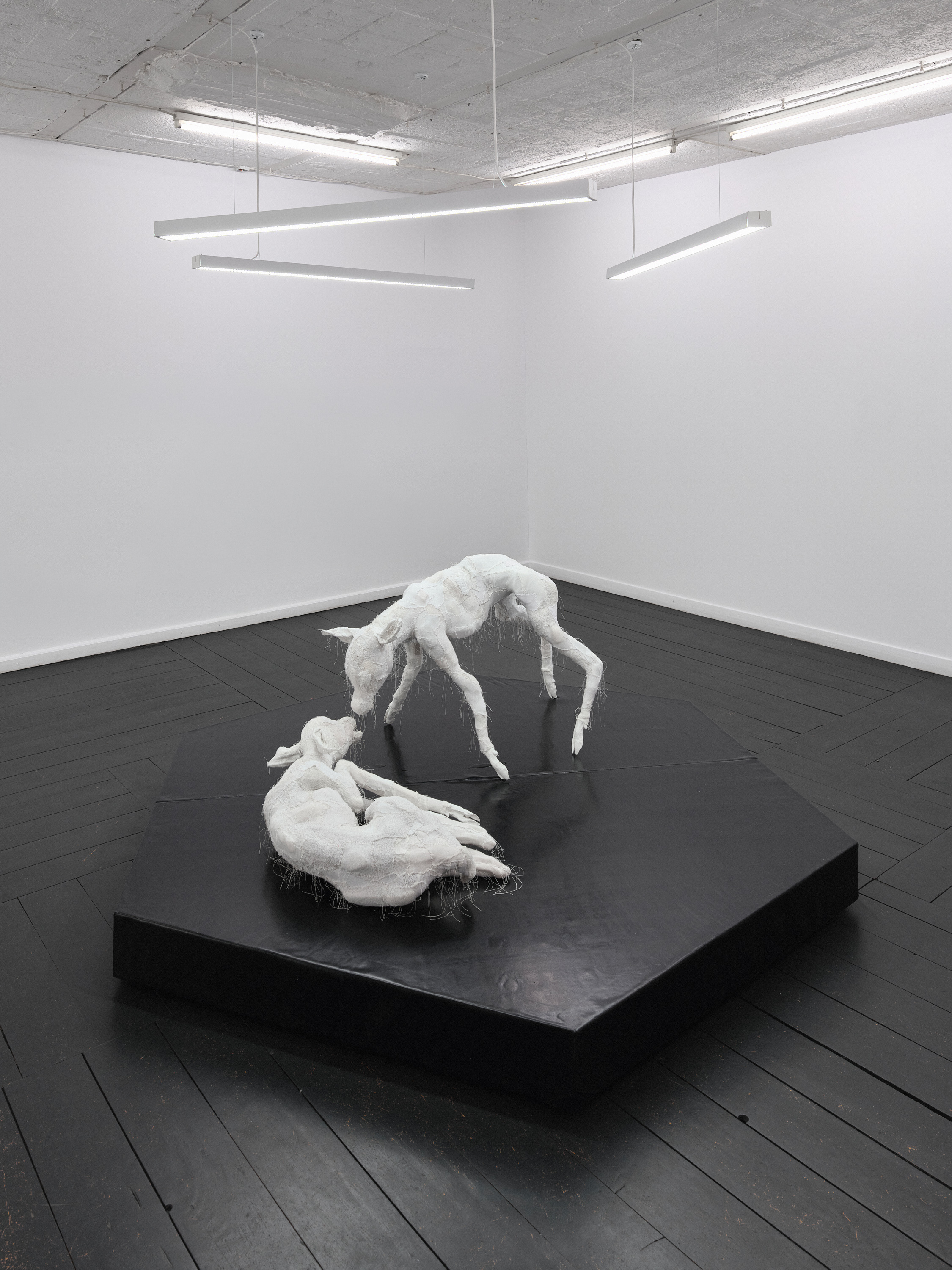 Within And For Each Other (2026). Steel, PVC Tubes, Upholstery Foam, Cotton, Acrylic, Polyester, Polyester Thread, Epoxy Resin, Synthetic Saliva. 29 x 84 x 57 cm & 69 x 57 x 95 cm. Technical Support: Klara Woźniak.