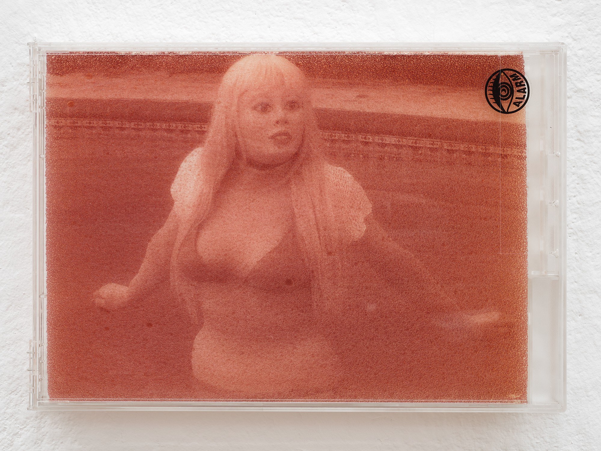Billie Clarken, Death Pool (Chewing Tongue Series), 2023, UV print on foam, locked acrylic DVD security box, 14.8 × 21.5 × 2.2 cm © the artist and Galerie Brugger Photo: Juri Löchte