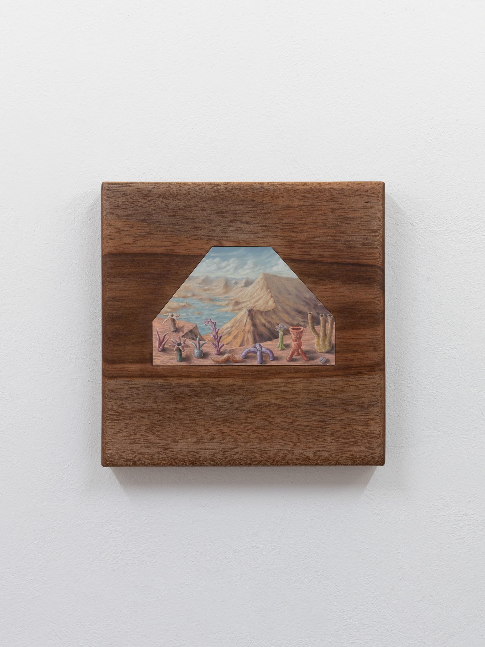 Denise Julieta, "En la ladera de la montaña crecen futuros fósiles", courtesy guadalajara90210, photo Agustín Arce Figueroa