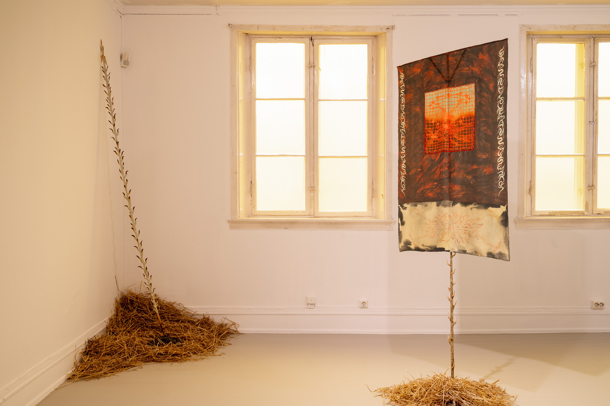 © Nanna Gunhild Amstrup. Photo: Erik Mowinckel