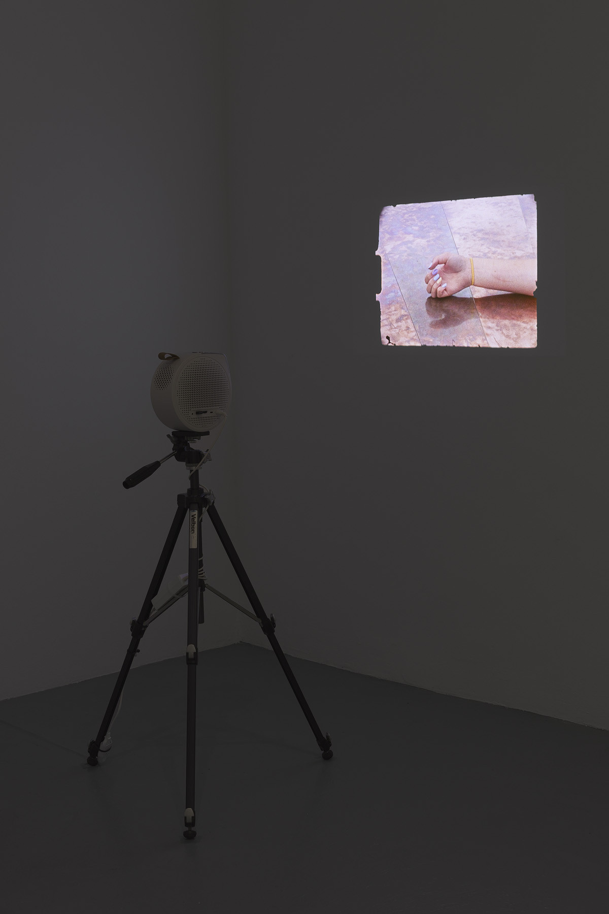 PRESENCES, 2026, Super 8 film digitized, colour, no sound, © basis e.V., photo: Ivan Murzin