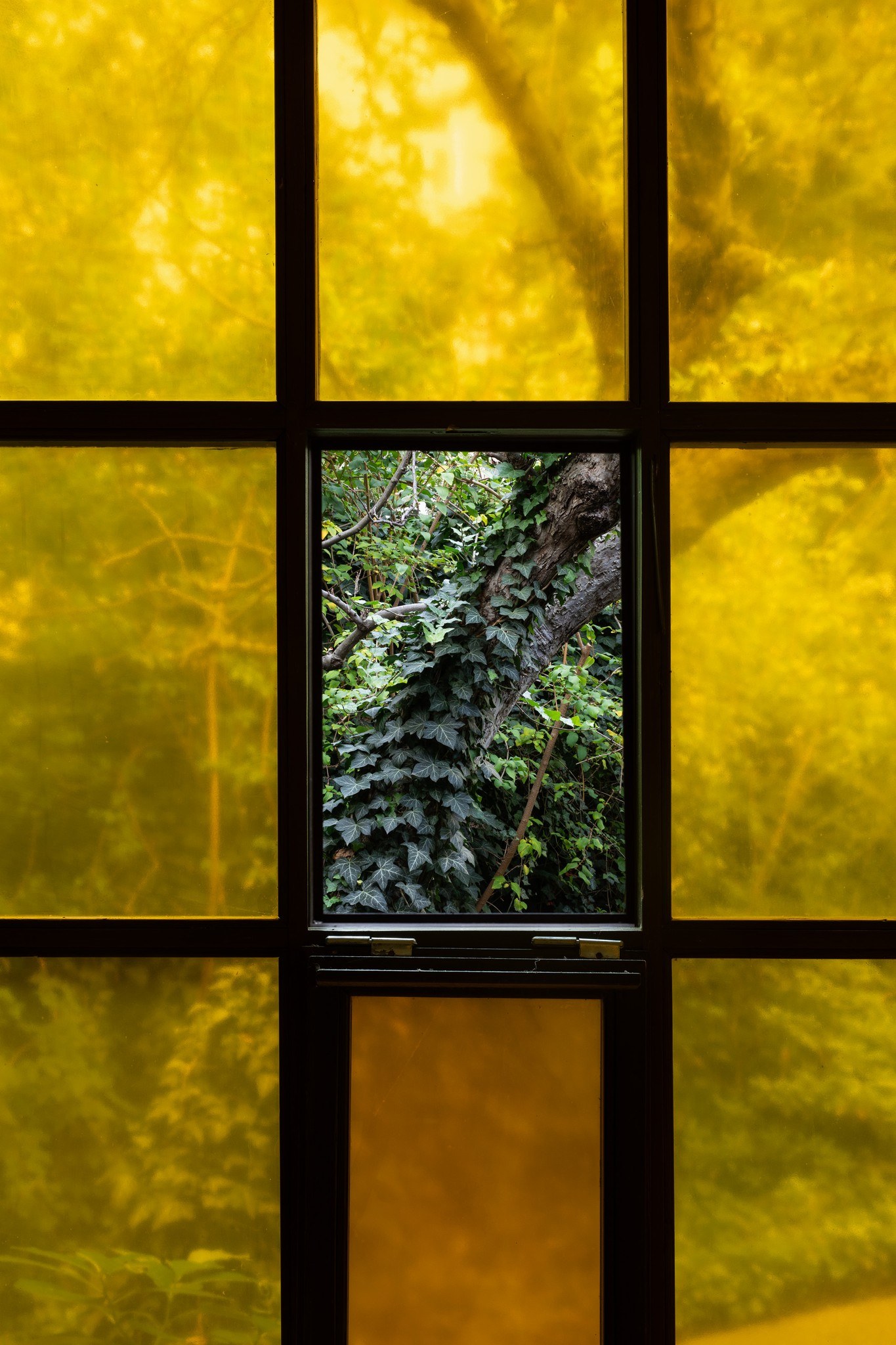 Hynek Alt, Fantom, installation view, Ateliér Josefa Sudka, Prague, 2026. Photo: Hynek Alt